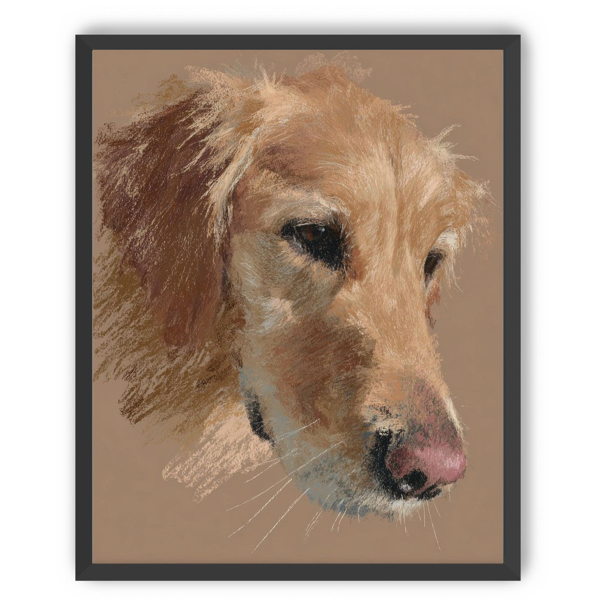 Warm browns on a golden retriever
