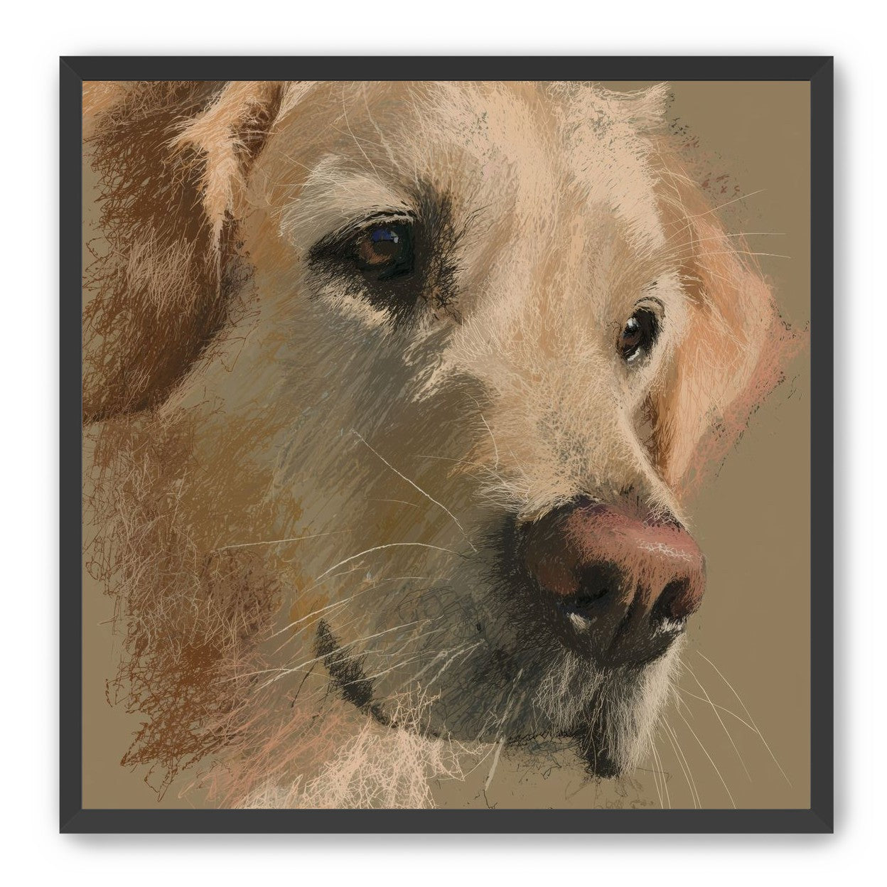 Warm fur in brown quietness