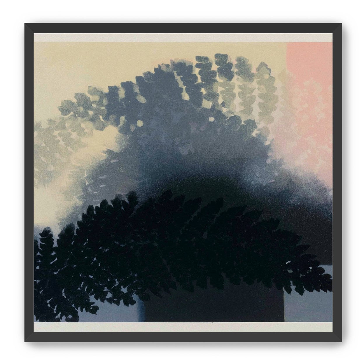 Tree shadow across the sky
