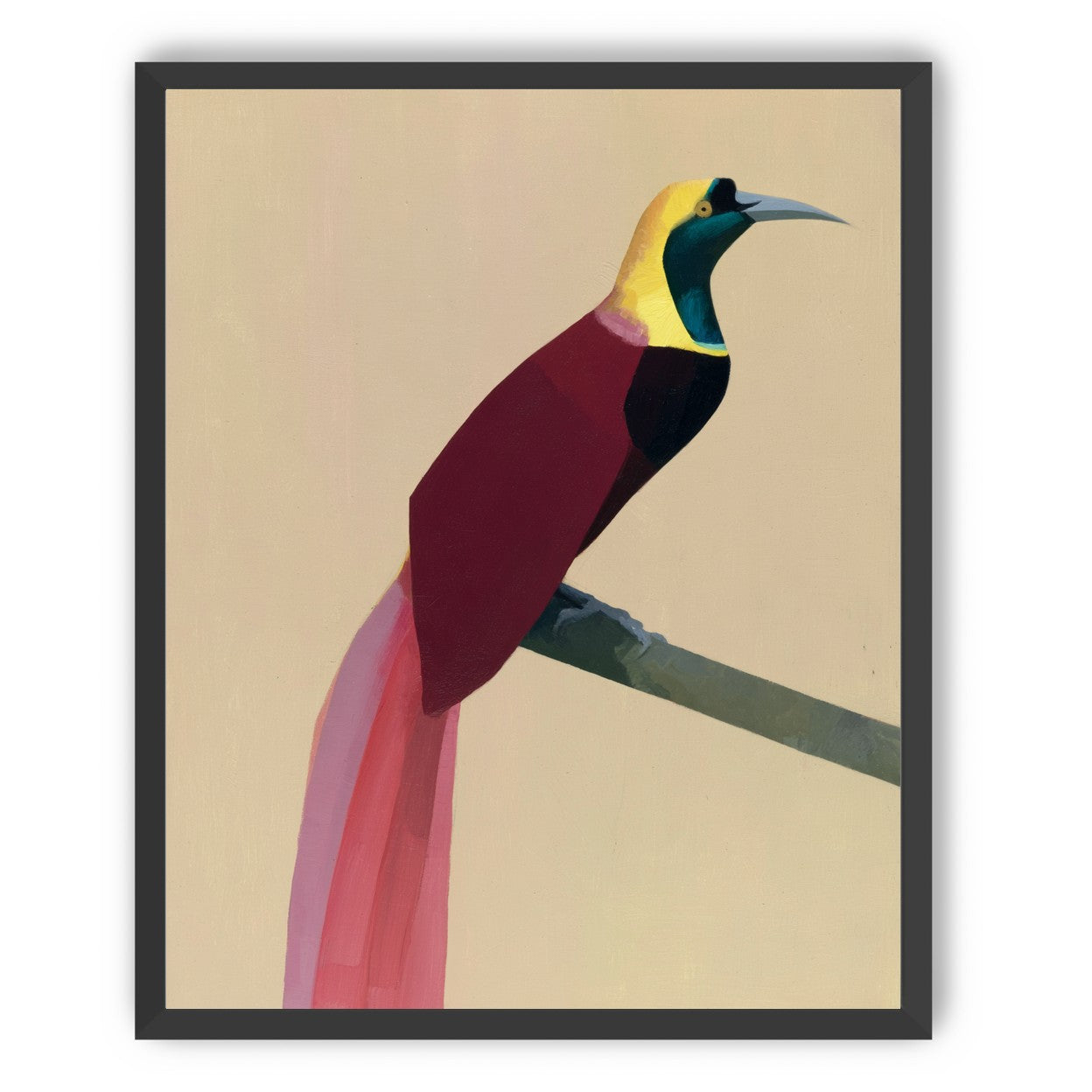 A bright bird on a branch