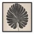 Striped fan leaf alone