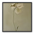 One flower leaning into quiet