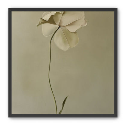 One flower leaning into quiet