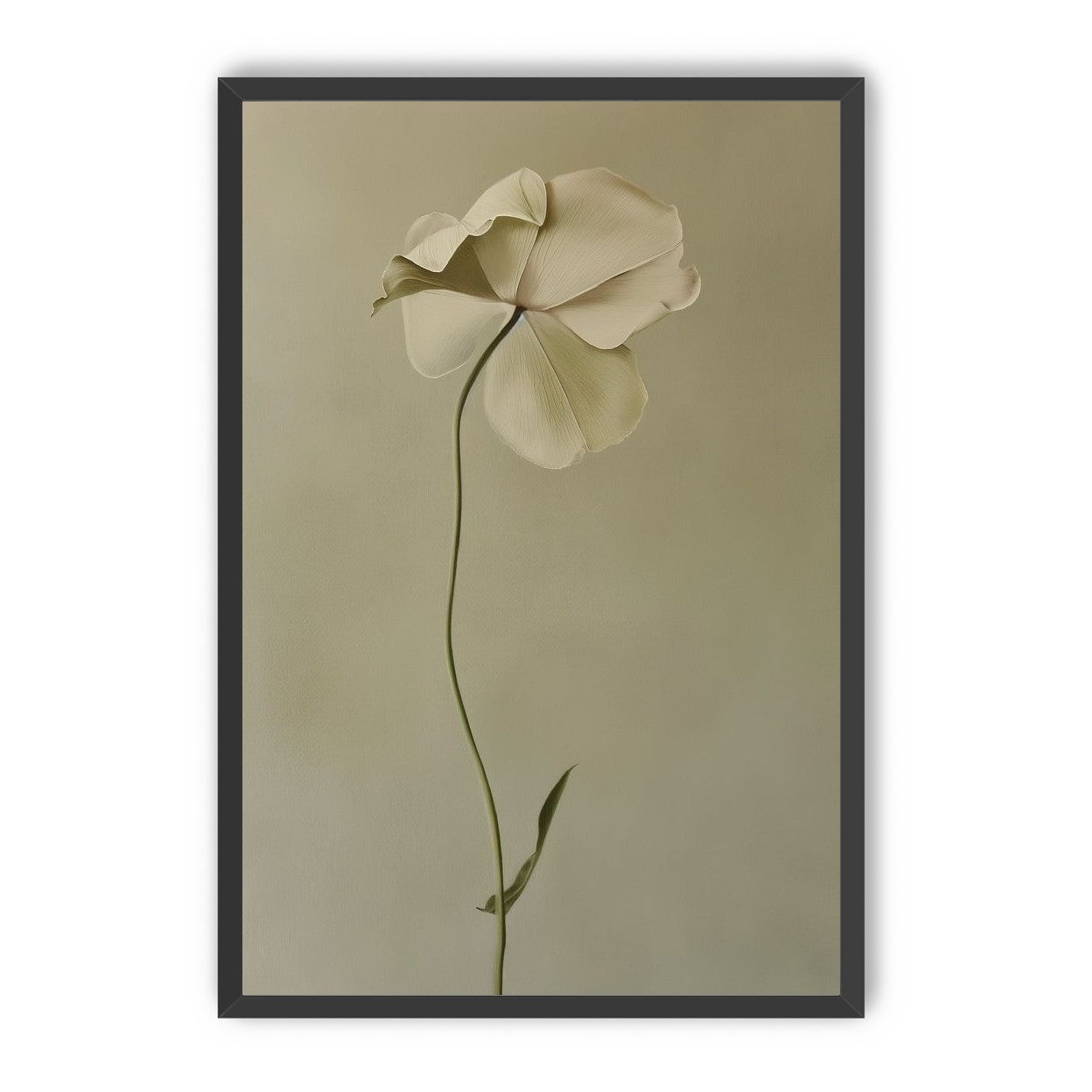 One flower leaning into quiet