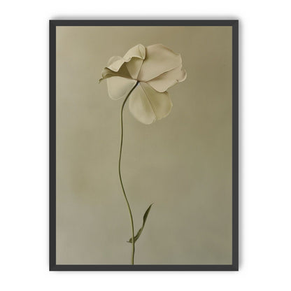 One flower leaning into quiet