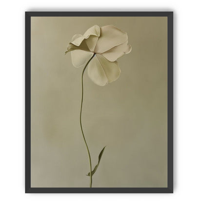 One flower leaning into quiet