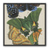Butterflies on a pale plate