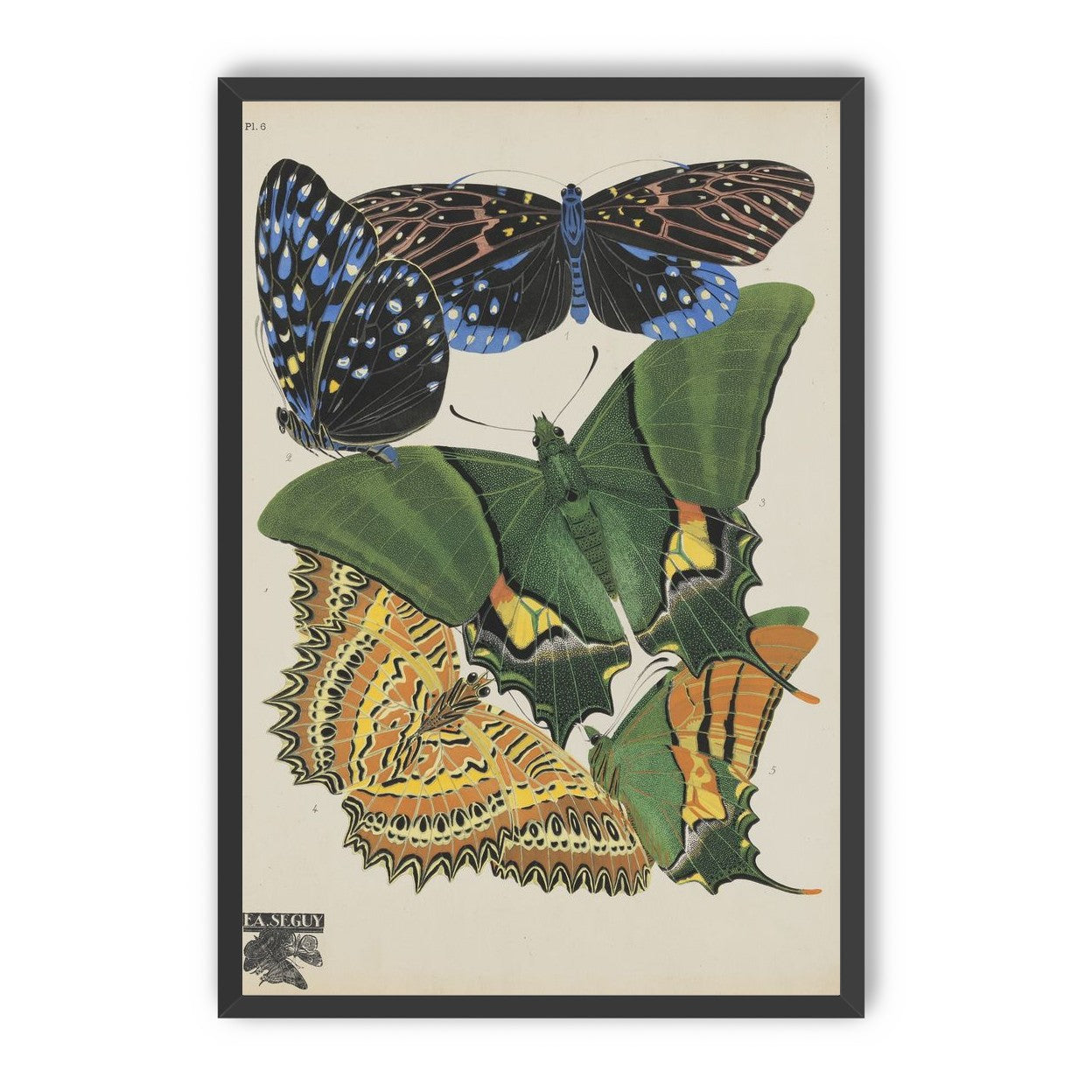 Butterflies on a pale plate