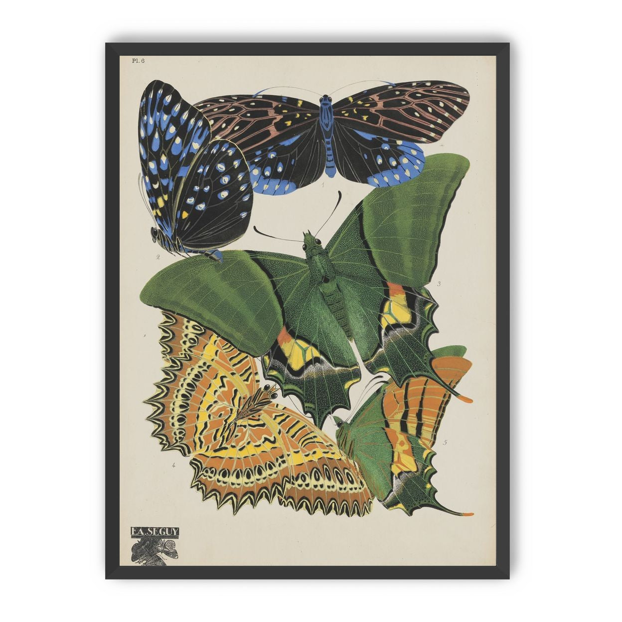 Butterflies on a pale plate
