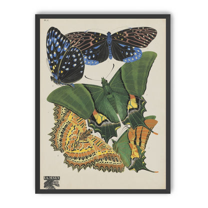 Butterflies on a pale plate