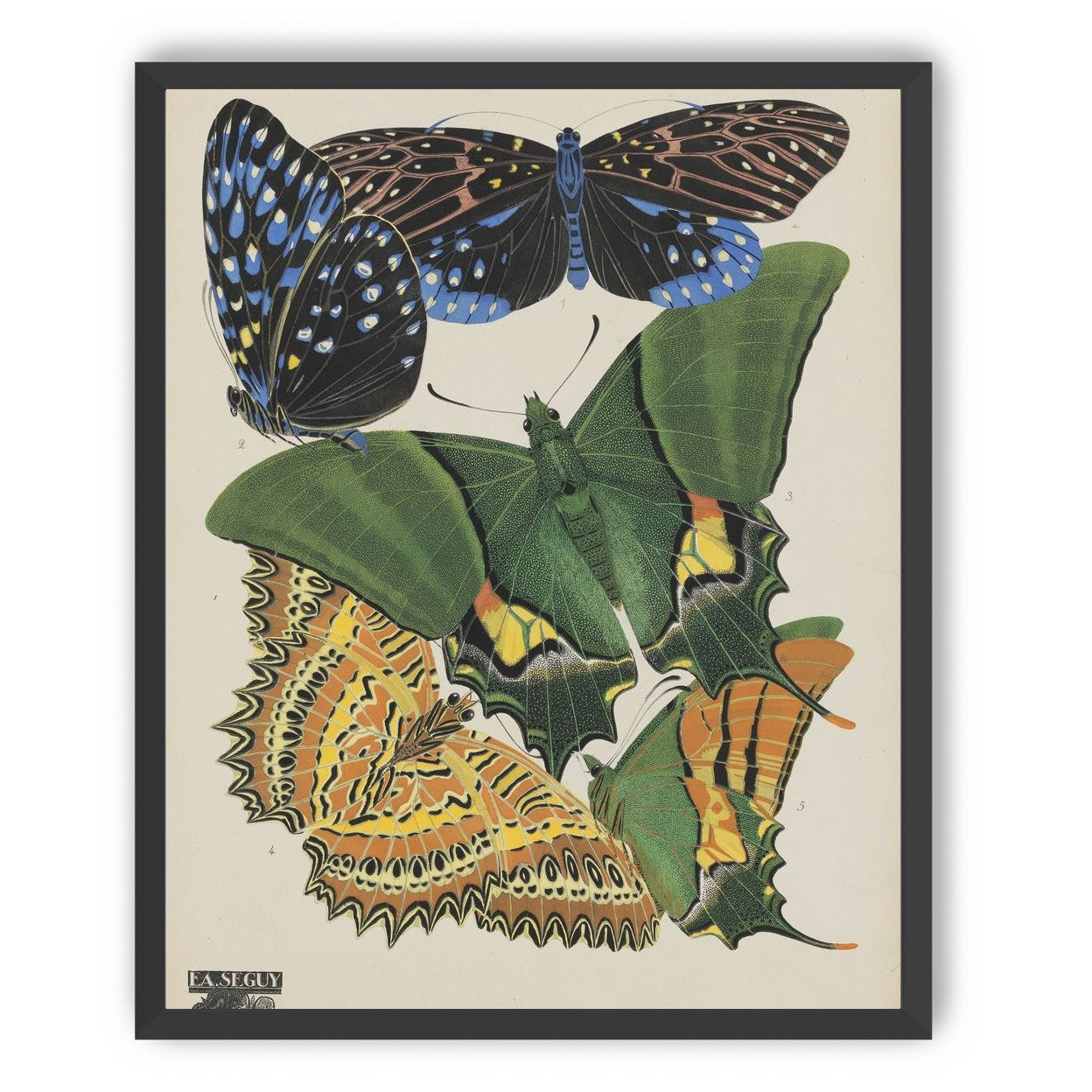 Butterflies on a pale plate