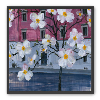 White blossoms over the pink house