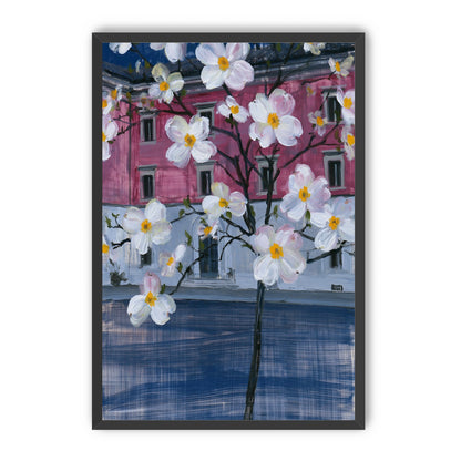 White blossoms over the pink house