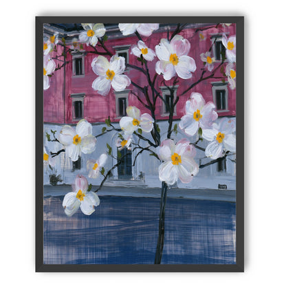 White blossoms over the pink house