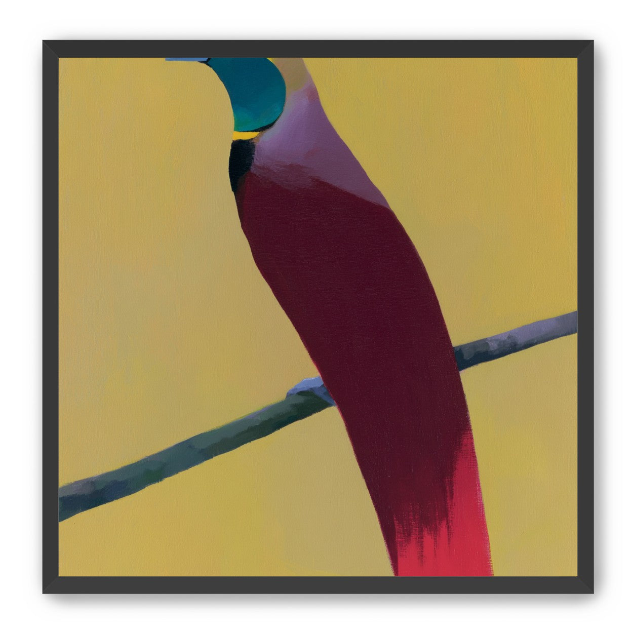 A bright bird on yellow
