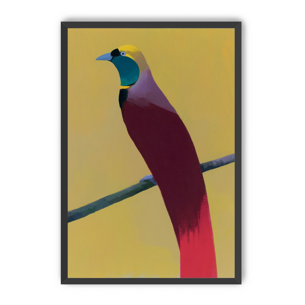 A bright bird on yellow