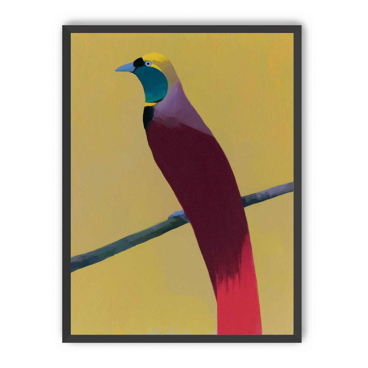 A bright bird on yellow