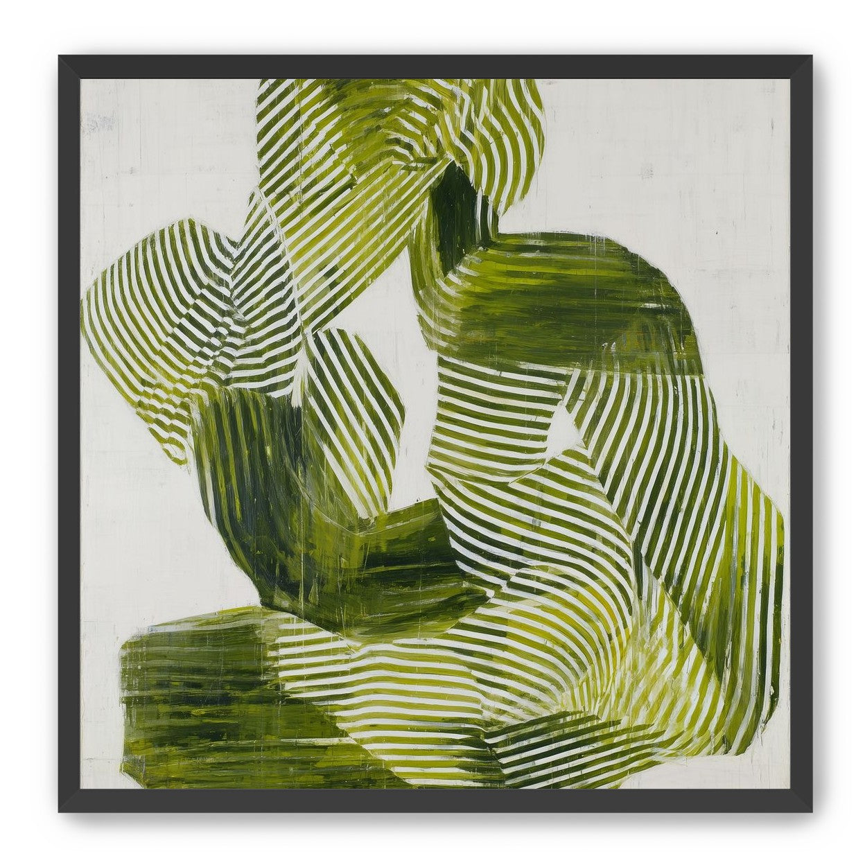Olive stripes in repose