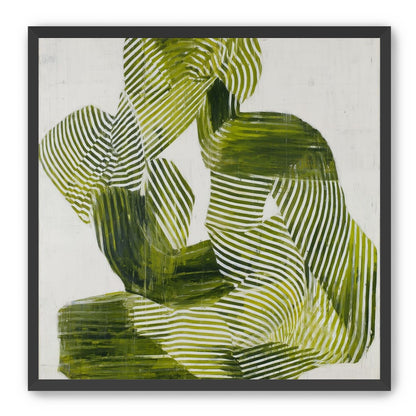 Olive stripes in repose