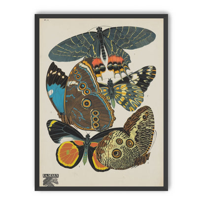 Five butterflies in quiet display