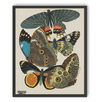 Five butterflies in quiet display