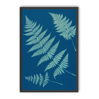 Pale ferns in deep blue