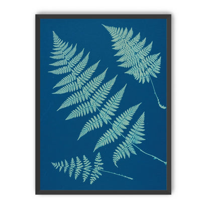 Pale ferns in deep blue