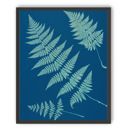 Pale ferns in deep blue