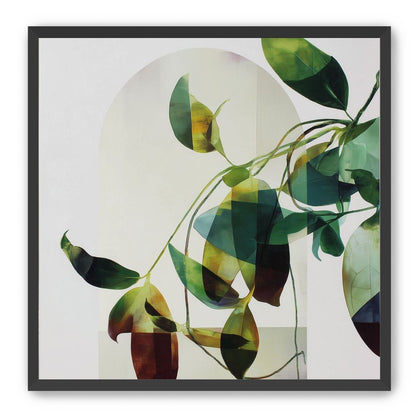 Leaves in a pale halo