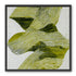 Olive stripes across white