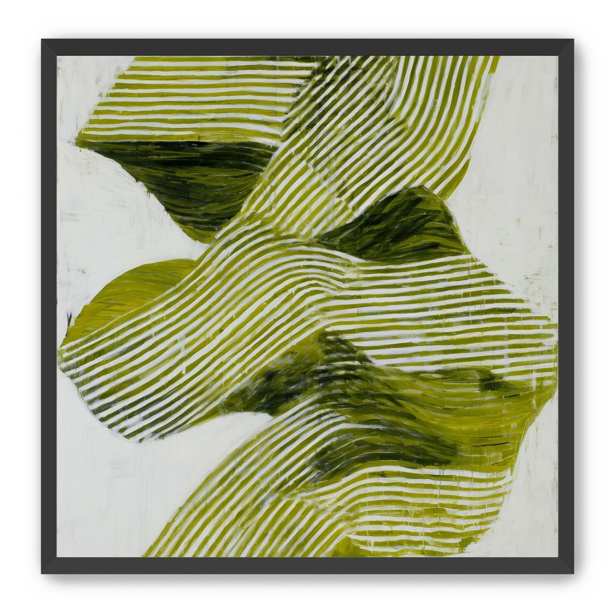 Olive stripes across white