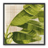 Banana leaves against the grid