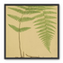 Green frond on tan paper