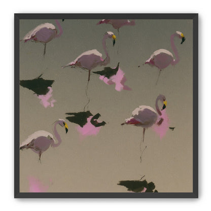Flamingos in still water