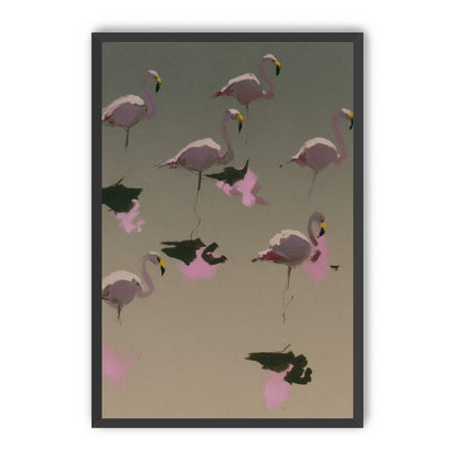 Flamingos in still water