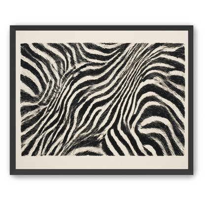 Zebra stripes across the frame