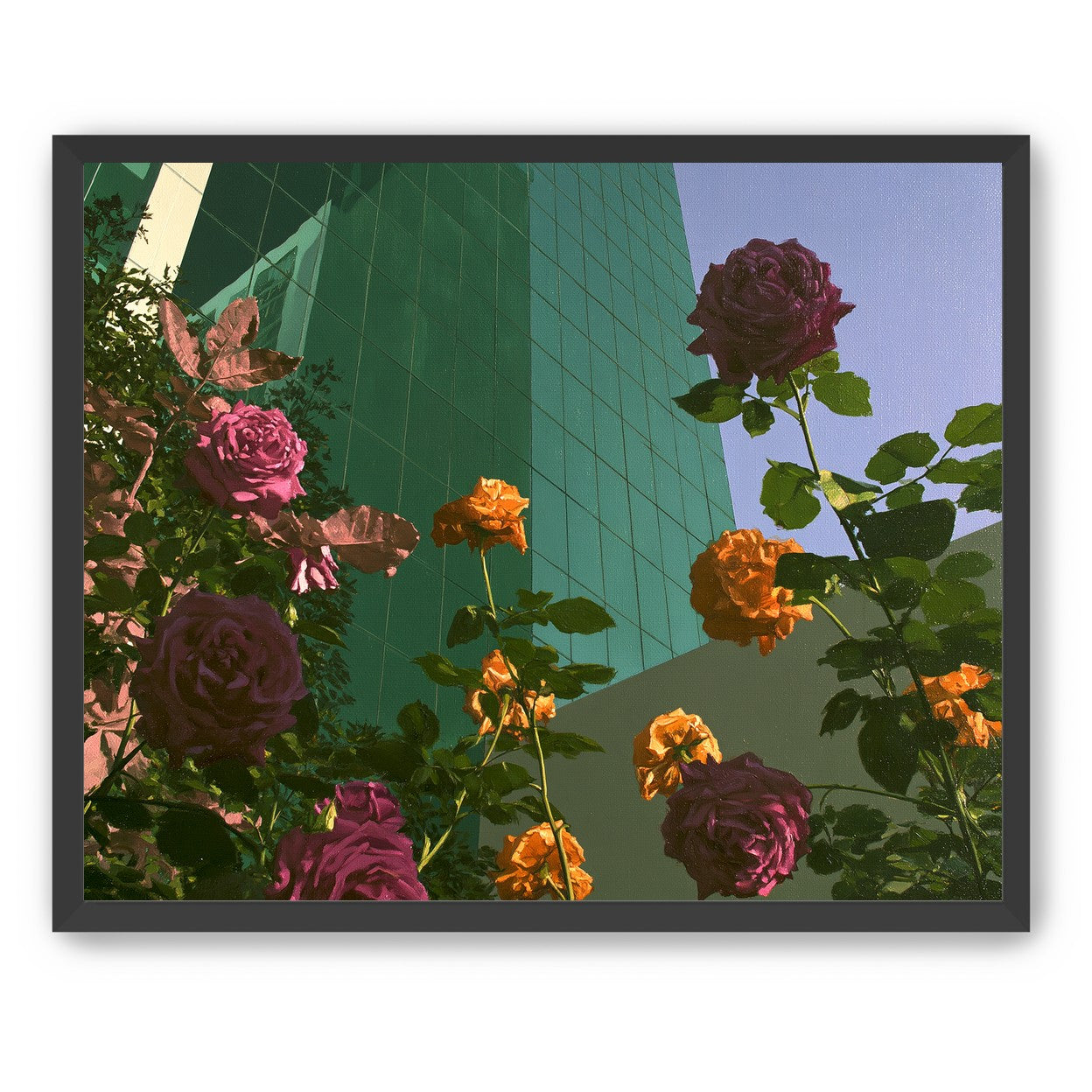 Roses climbing the glass wall