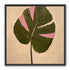 Pink banded leaf on plastered white