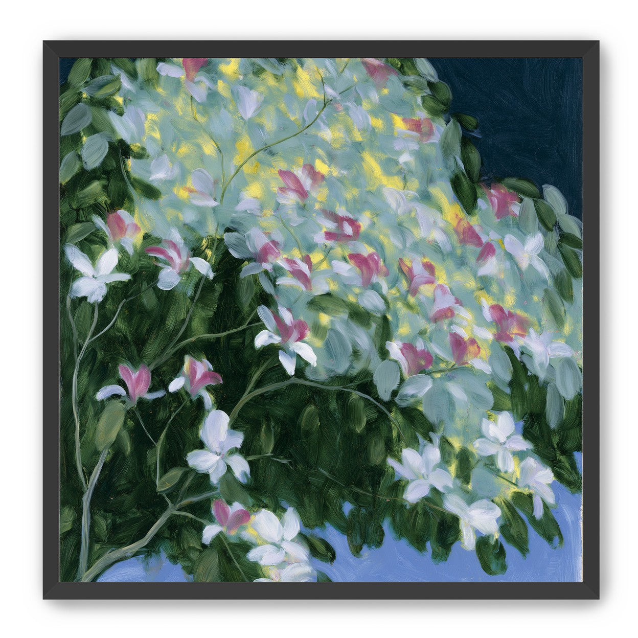 Blossoms across the night sky
