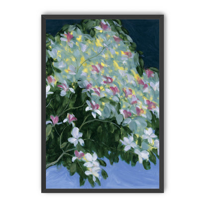 Blossoms across the night sky