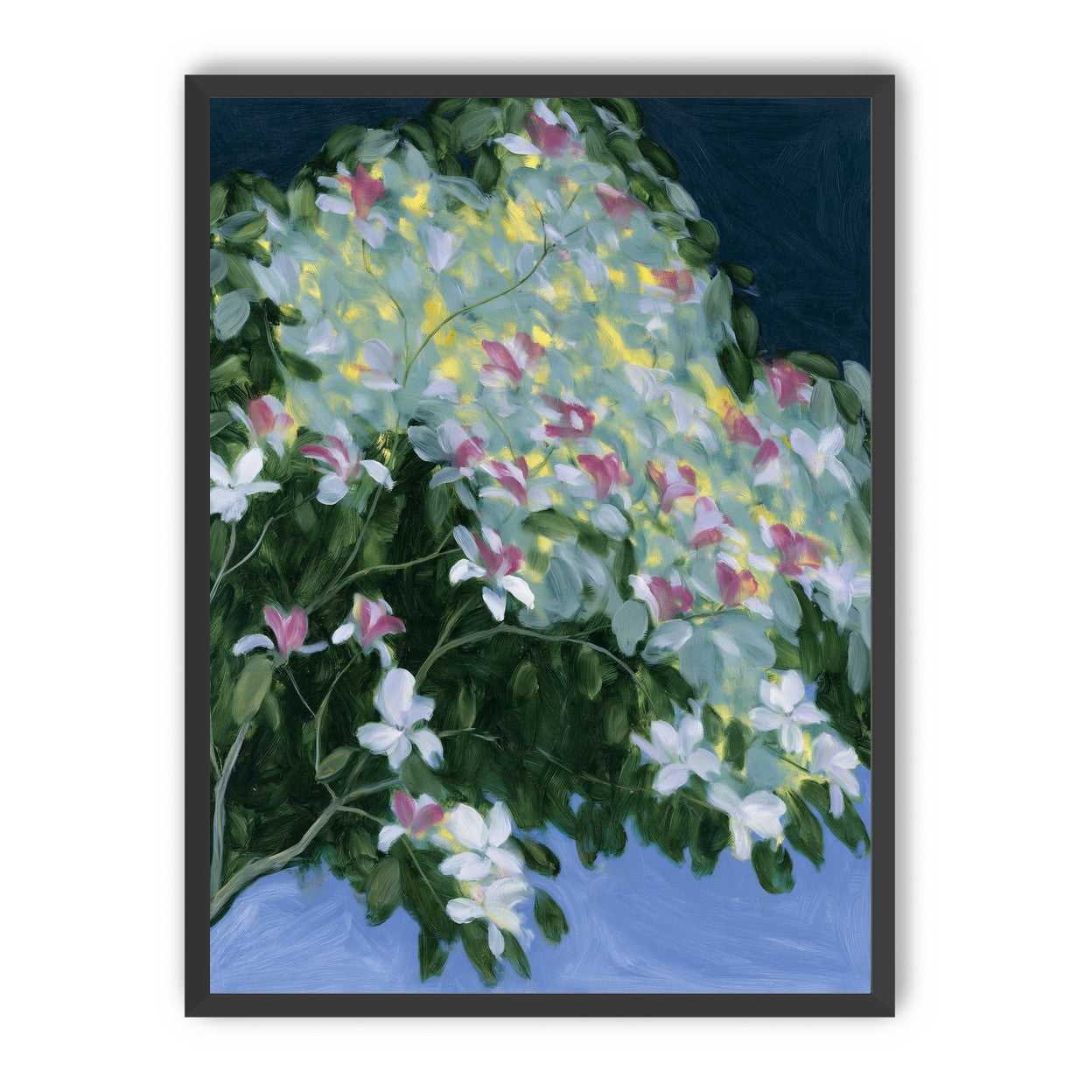 Blossoms across the night sky