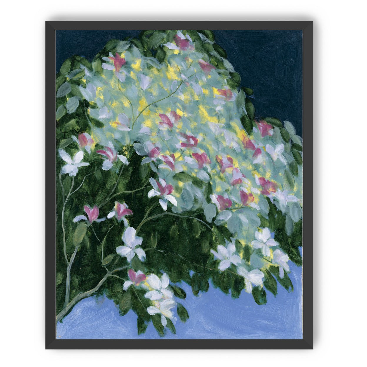 Blossoms across the night sky