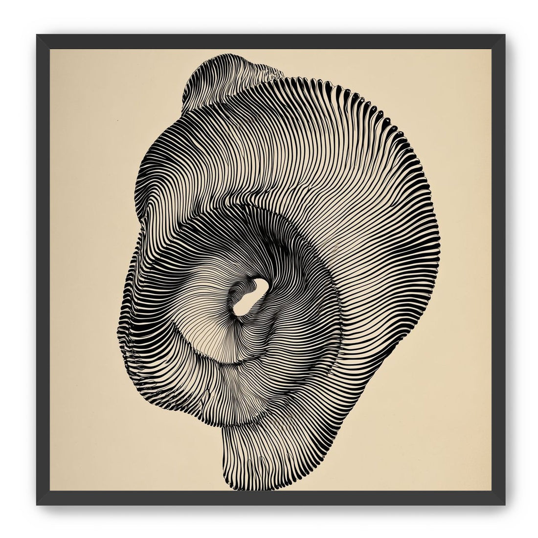 A hollow within black lines