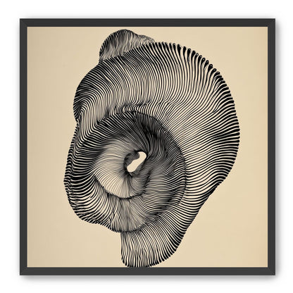 A hollow within black lines