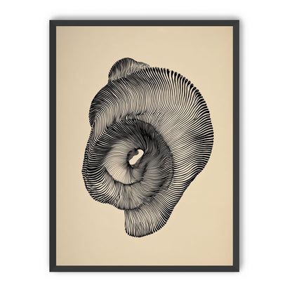 A hollow within black lines