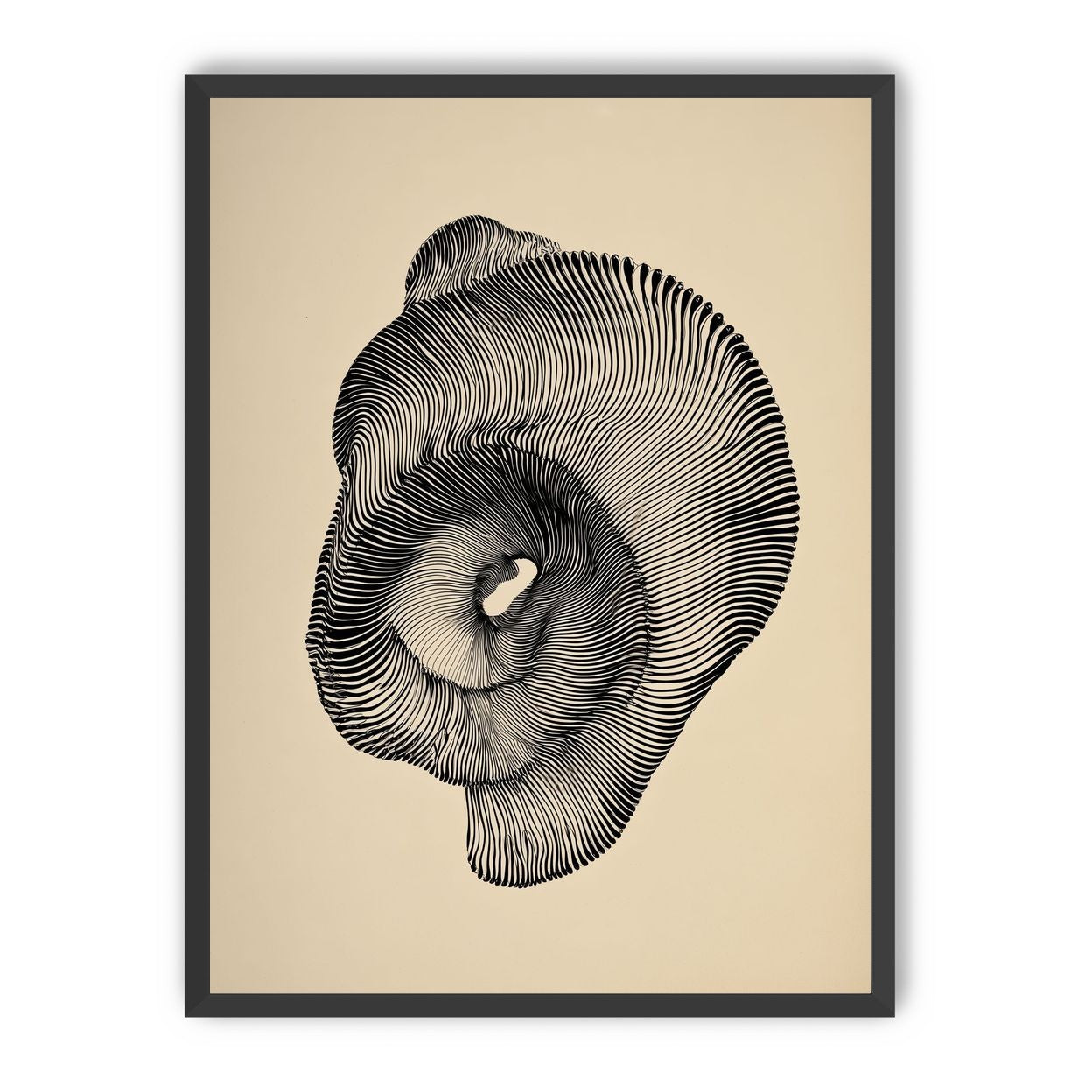 A hollow within black lines