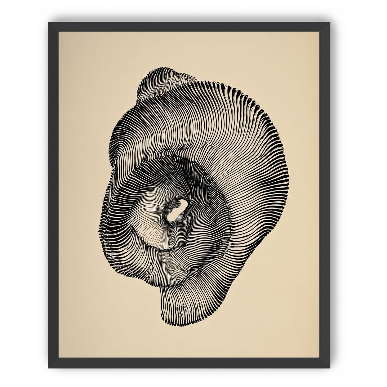 A hollow within black lines