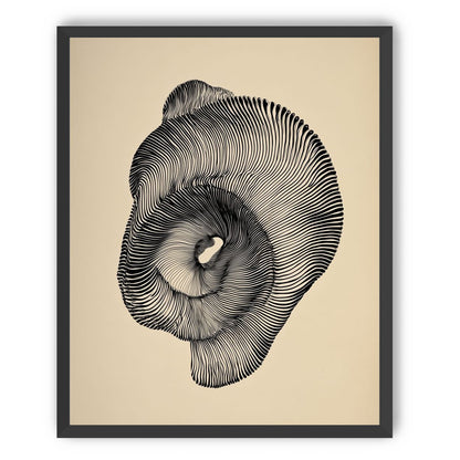 A hollow within black lines