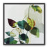 Leaves within pale shadows