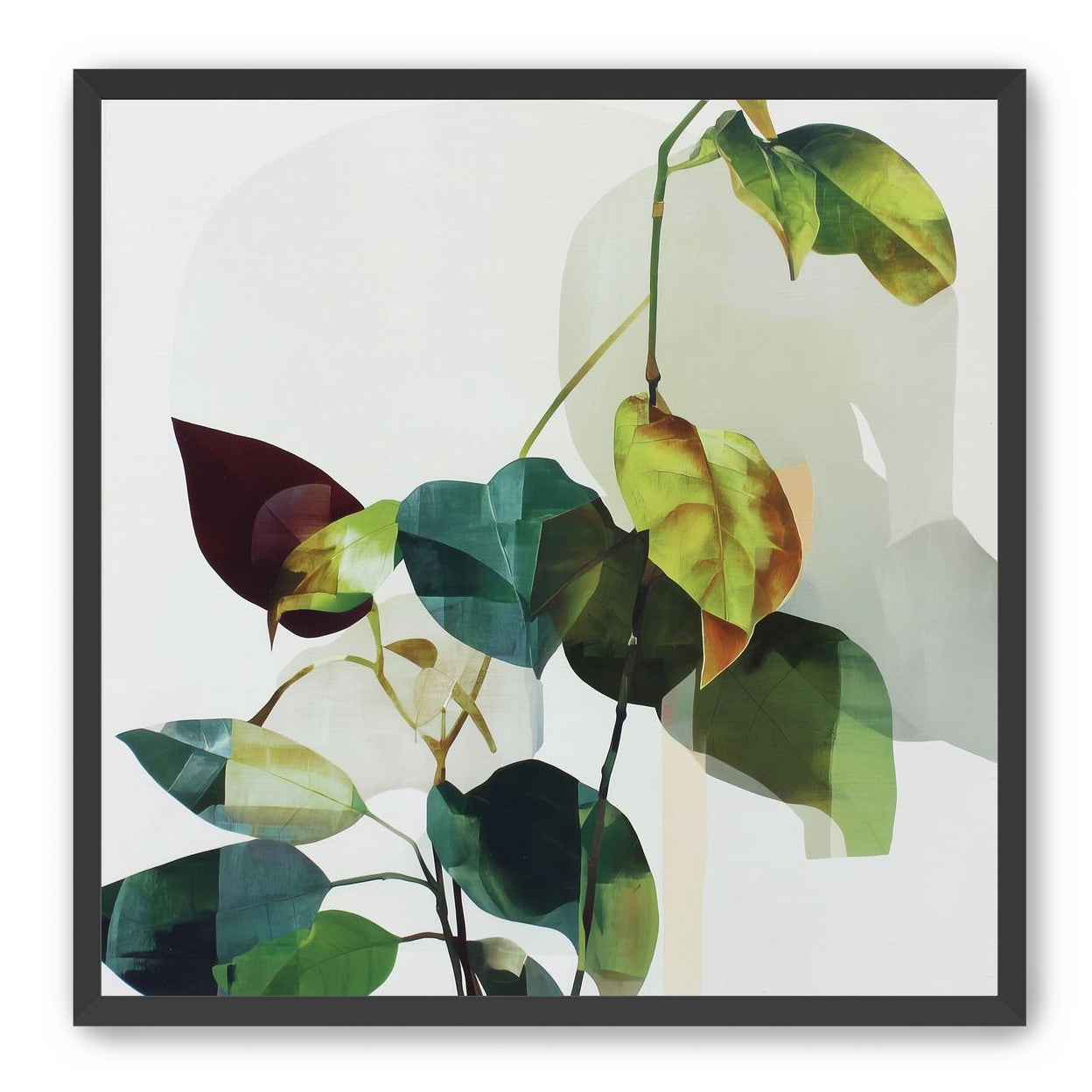 Leaves within pale shadows